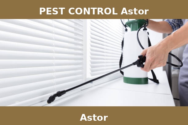 PEST CONTROL Astor